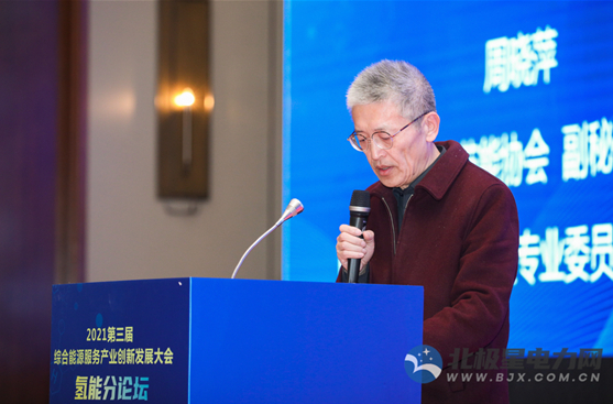 助力碳中和 300+大咖共議“電-氫”能源體系未來