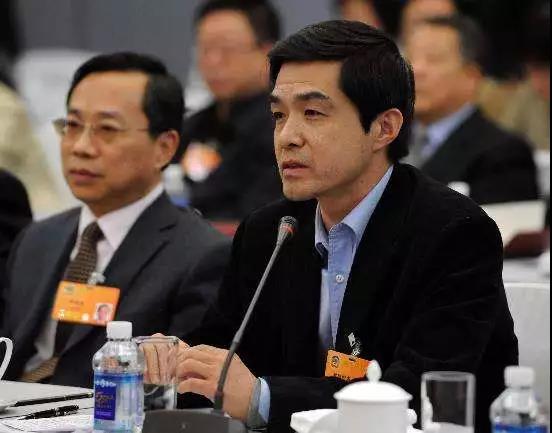 歐陽明高兩會內部發言：三五年之后燃料電池技術會趨于成熟，這點不用懷疑